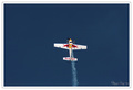Extra 300P