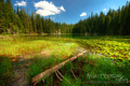 Zminje jezero