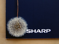 sharp