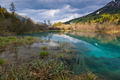 Zelenci