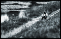 Fishing in dre&hellip;