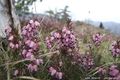 Spring on the &hellip;