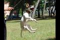 jump!!