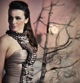 showroom VIII