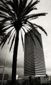 barcelona 2009