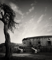 forT II