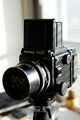 My new girl-fr&hellip;