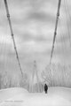 The Road of Li&hellip;