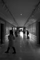 NY Public Libr&hellip;