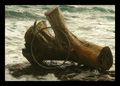 hit the sea...&hellip;