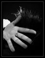 i'm not i&hellip;