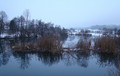 Mrežnica
