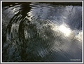Refleksija i k&hellip;