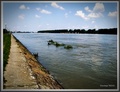 Dunav