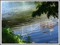 Refleksija
