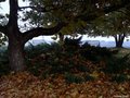 Park okičen je&hellip;