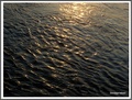 Pismo sunca