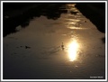 Pratilo ih Sun&hellip;