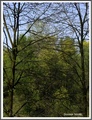 Ispisala note &hellip;