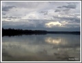 Dunav