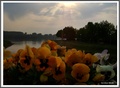 Jutro u Vukova&hellip;