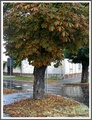 Jesen u gradu