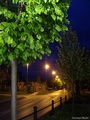 Tihe ulice Vuk&hellip;