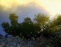 Osunčana refle&hellip;
