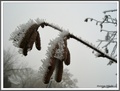 Okitile se res&hellip;
