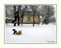 Snježna i njež&hellip;
