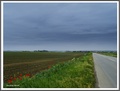 Dok kročim