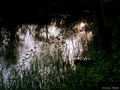 Snovi