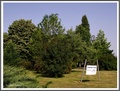 Vukovarski park