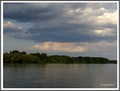Dunav