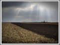 Jesen nad ravn&hellip;