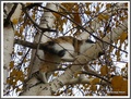 "Raskorak&hellip;