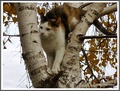 To se zove &qu&hellip;