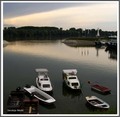 Lučica