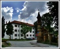 U gradu