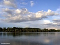 Dunavska idila
