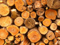 Lumber