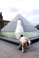 Louvre 3