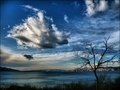pogled