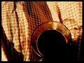 Kava