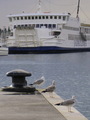 ...SeAguLL`sss&hellip;