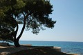 pogled 2
