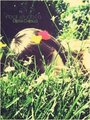 Child of flowe&hellip;
