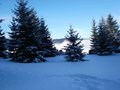 Hm....