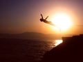Fly away