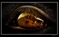 in the eye hor&hellip;